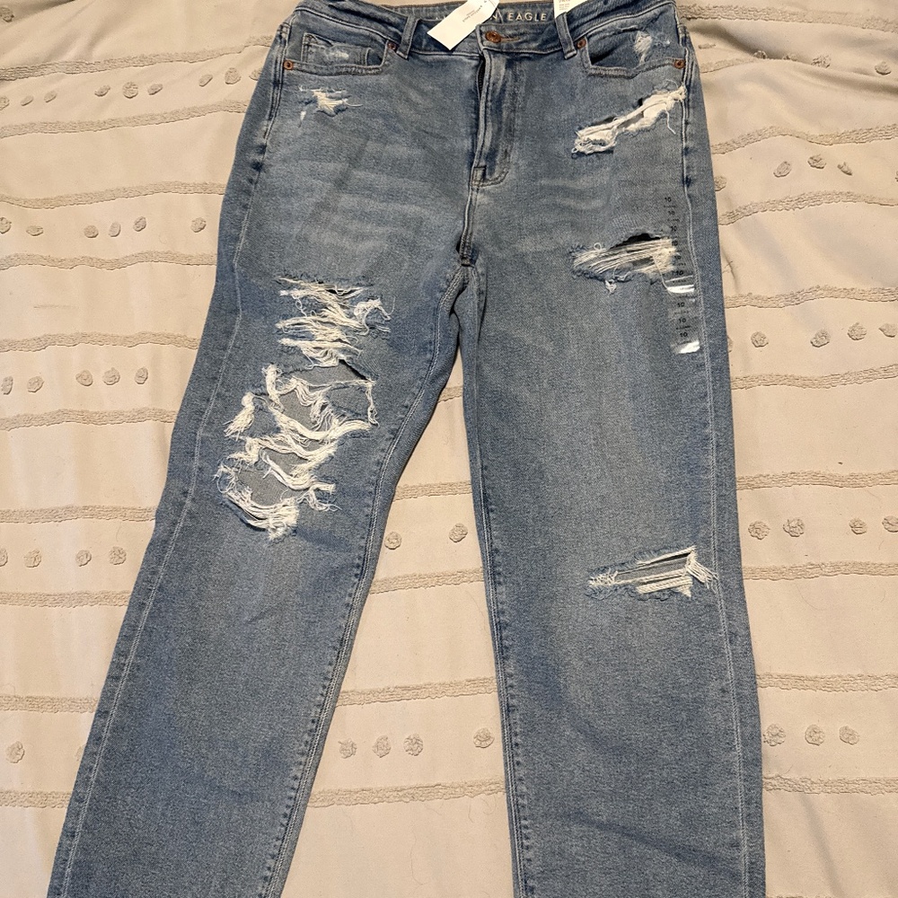 New American eagle mom Jean